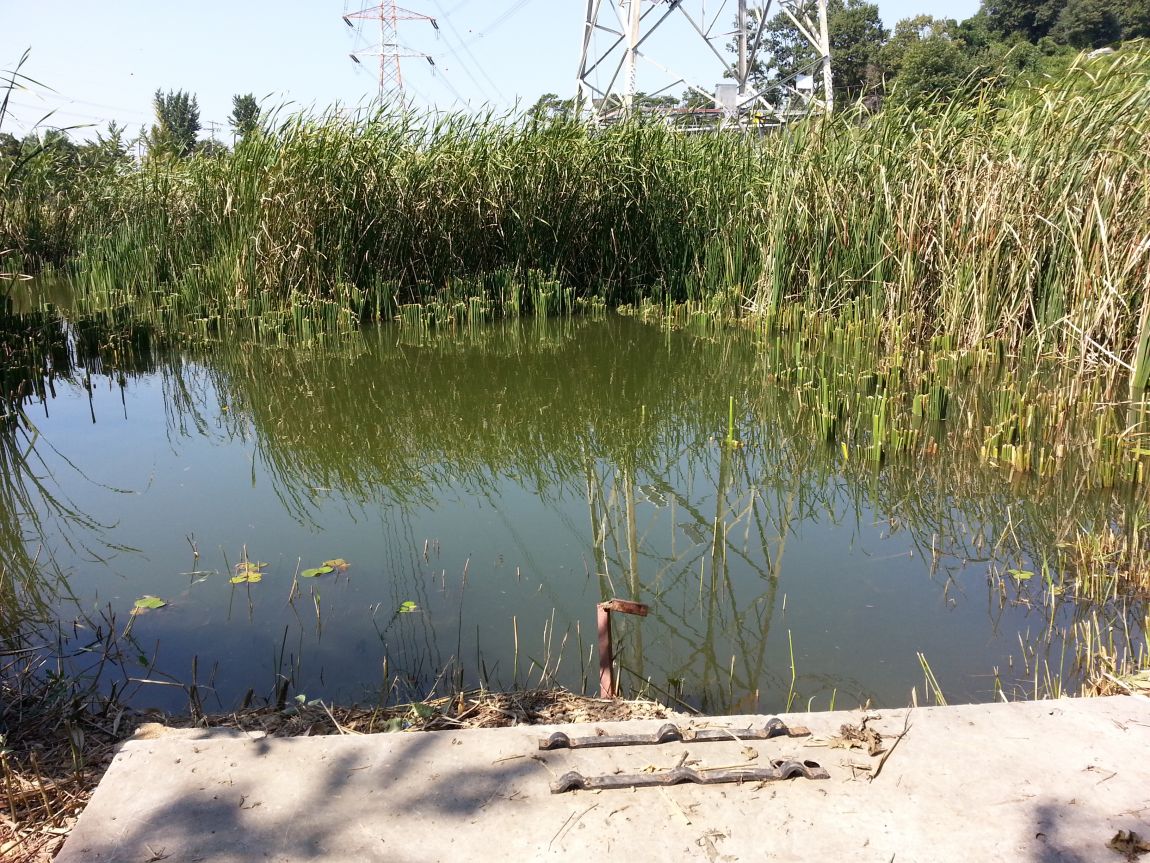 20150910_142533.jpg