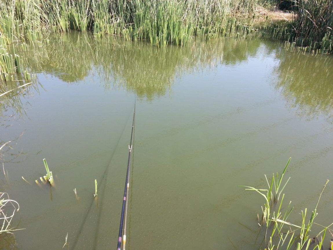 20150910_142647.jpg