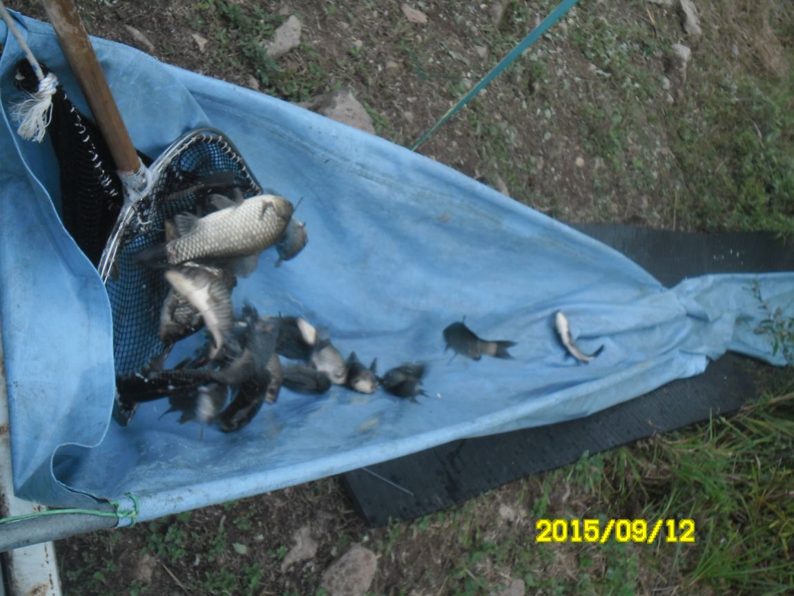 SAM_8057.JPG