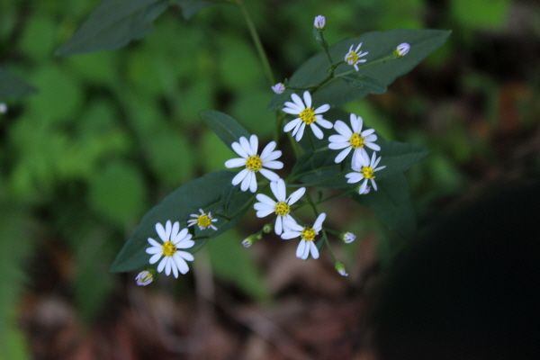 �ٹ̱�_IMG_5880.JPG