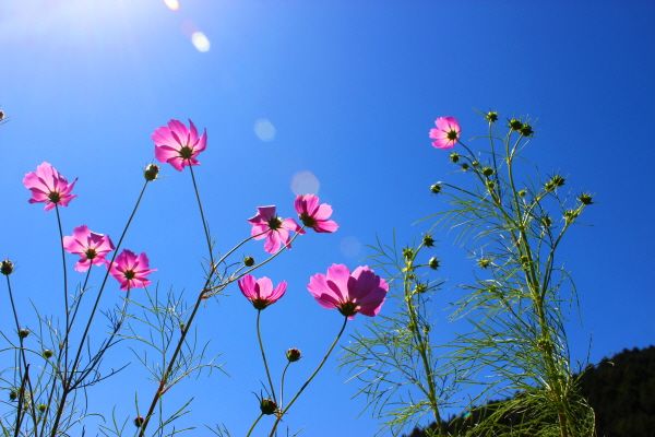 �ٹ̱�_IMG_5890.JPG