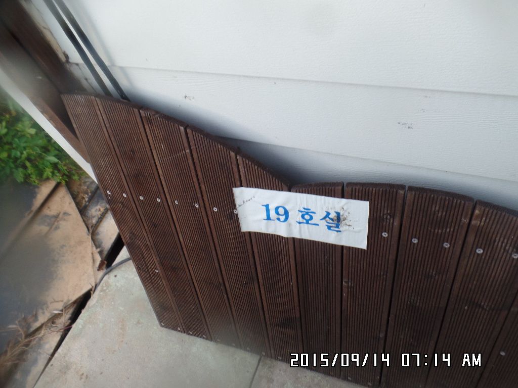 SAM_9161.JPG
