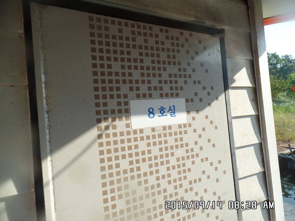 SAM_9165.JPG