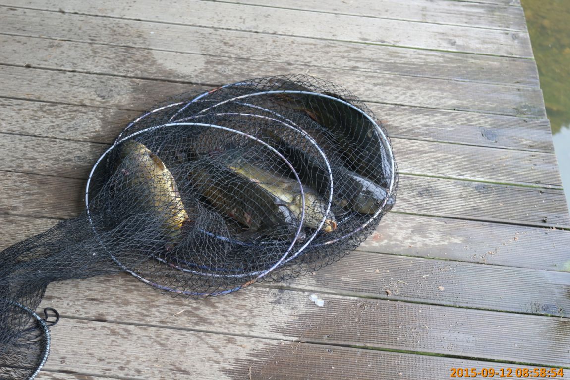 IMG_0055.jpg