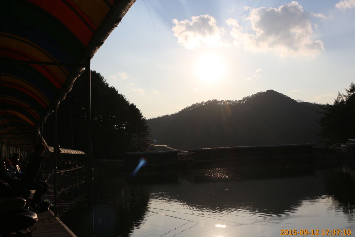 IMG_0262.jpg