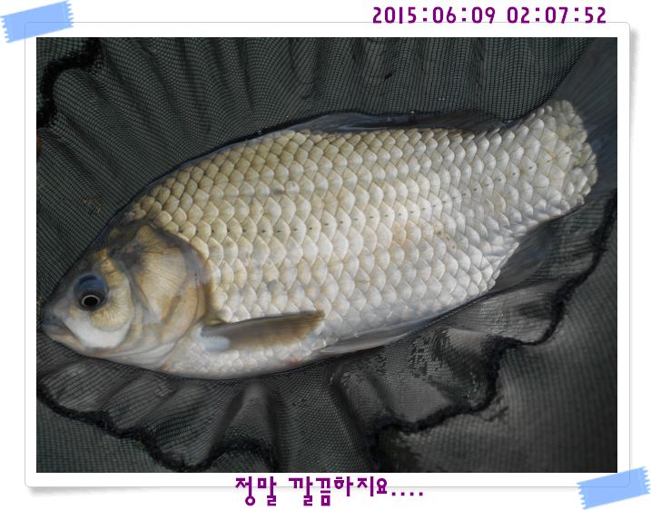 �ٹ̱�_DSCN0013.JPG