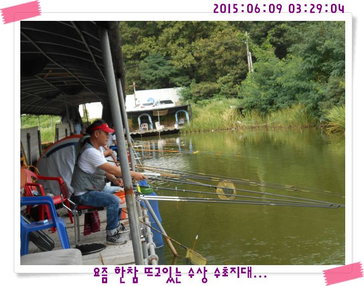 �ٹ̱�_DSCN0018.JPG