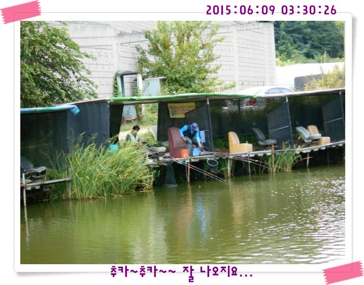 �ٹ̱�_DSCN0019.JPG