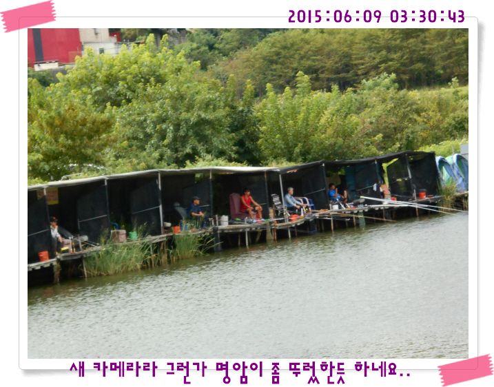 �ٹ̱�_DSCN0020.JPG