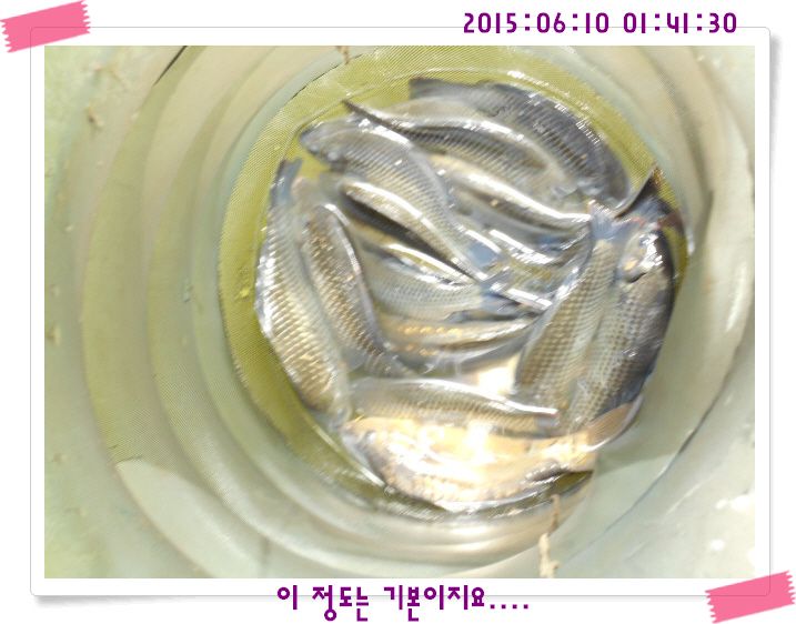 �ٹ̱�_DSCN0030.JPG