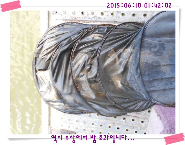 �ٹ̱�_DSCN0031.JPG