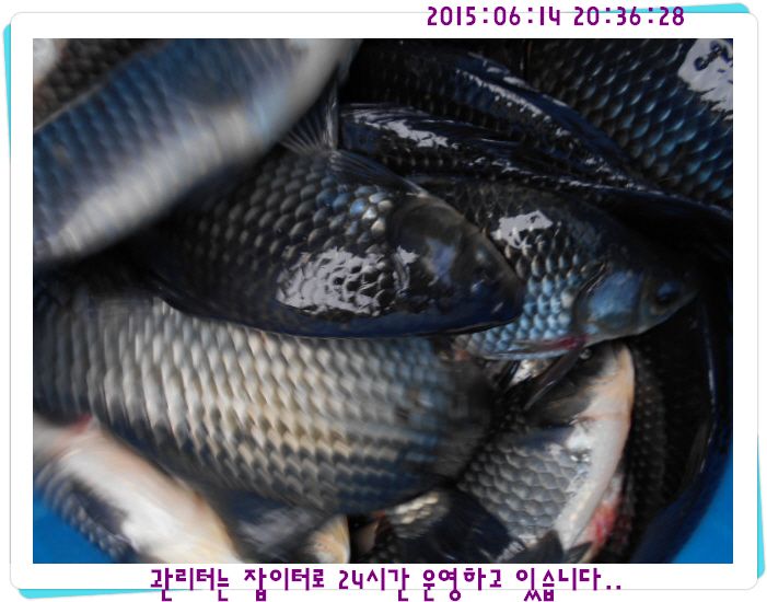 �ٹ̱�_DSCN0034.JPG