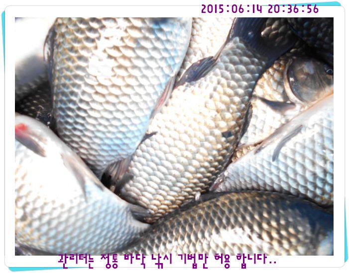 �ٹ̱�_DSCN0035.JPG