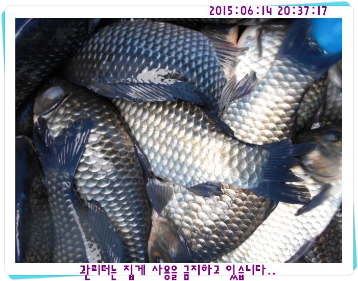 �ٹ̱�_DSCN0036.JPG