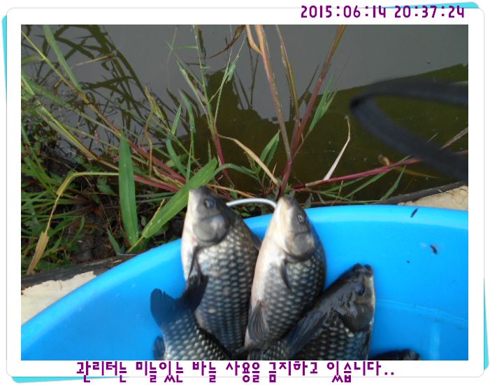 �ٹ̱�_DSCN0037.JPG