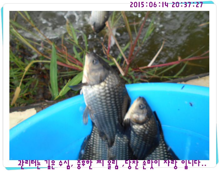 �ٹ̱�_DSCN0038.JPG