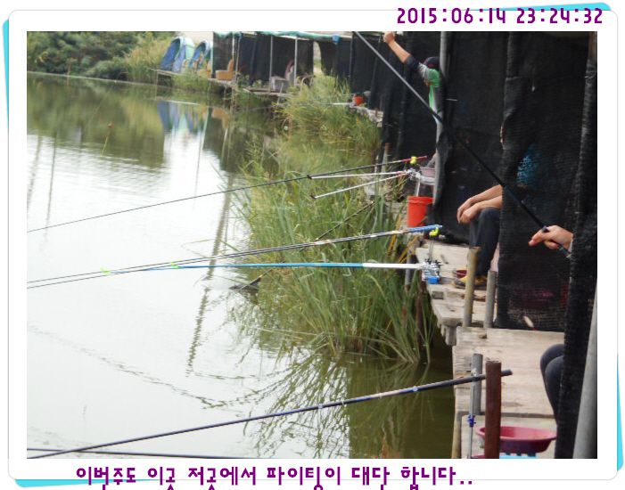 �ٹ̱�_DSCN0047.JPG