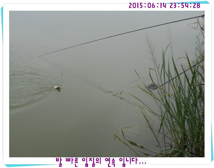 �ٹ̱�_DSCN0052.JPG