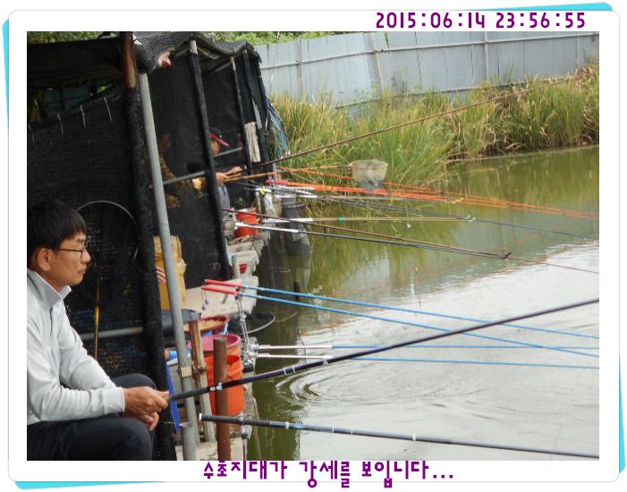 �ٹ̱�_DSCN0053.JPG