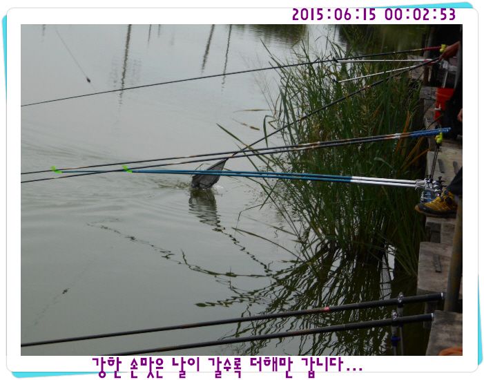 �ٹ̱�_DSCN0054.JPG