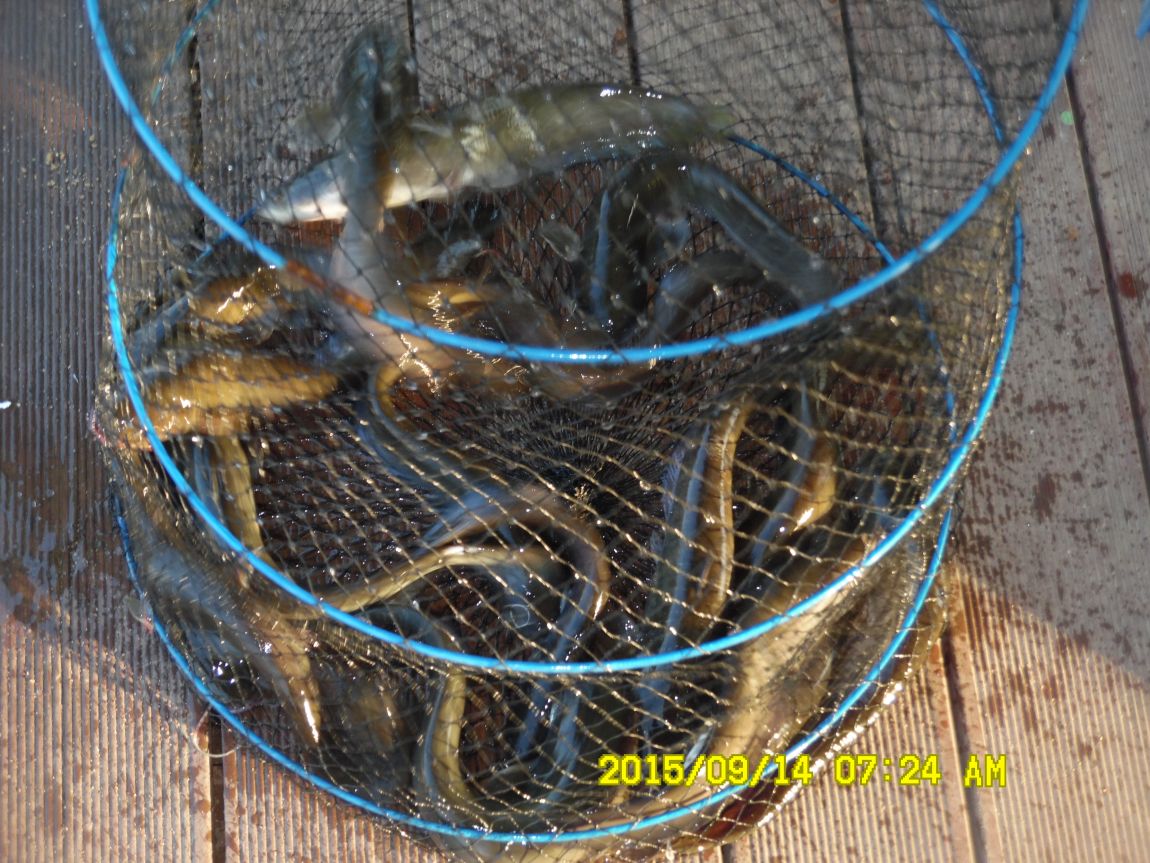 9��13��~15�� 003.JPG