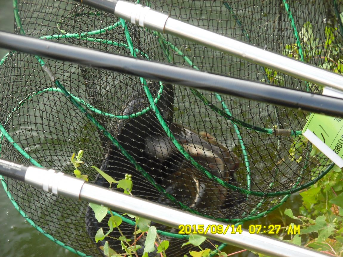 9��13��~15�� 004.JPG