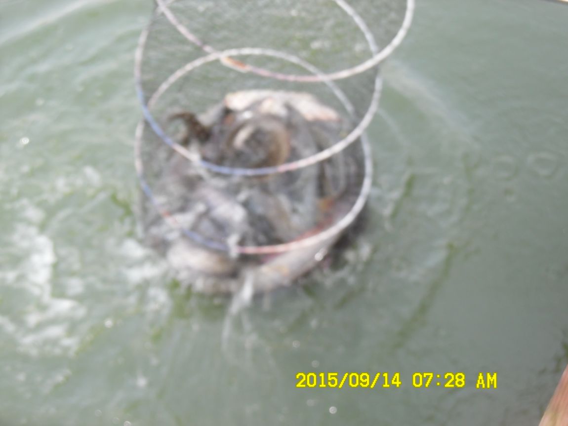 9��13��~15�� 005.JPG