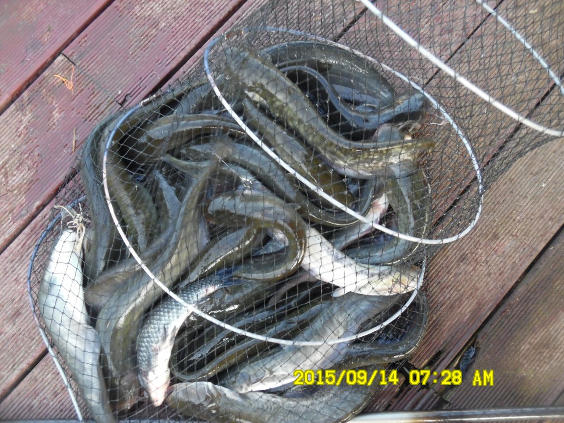 9��13��~15�� 007.JPG