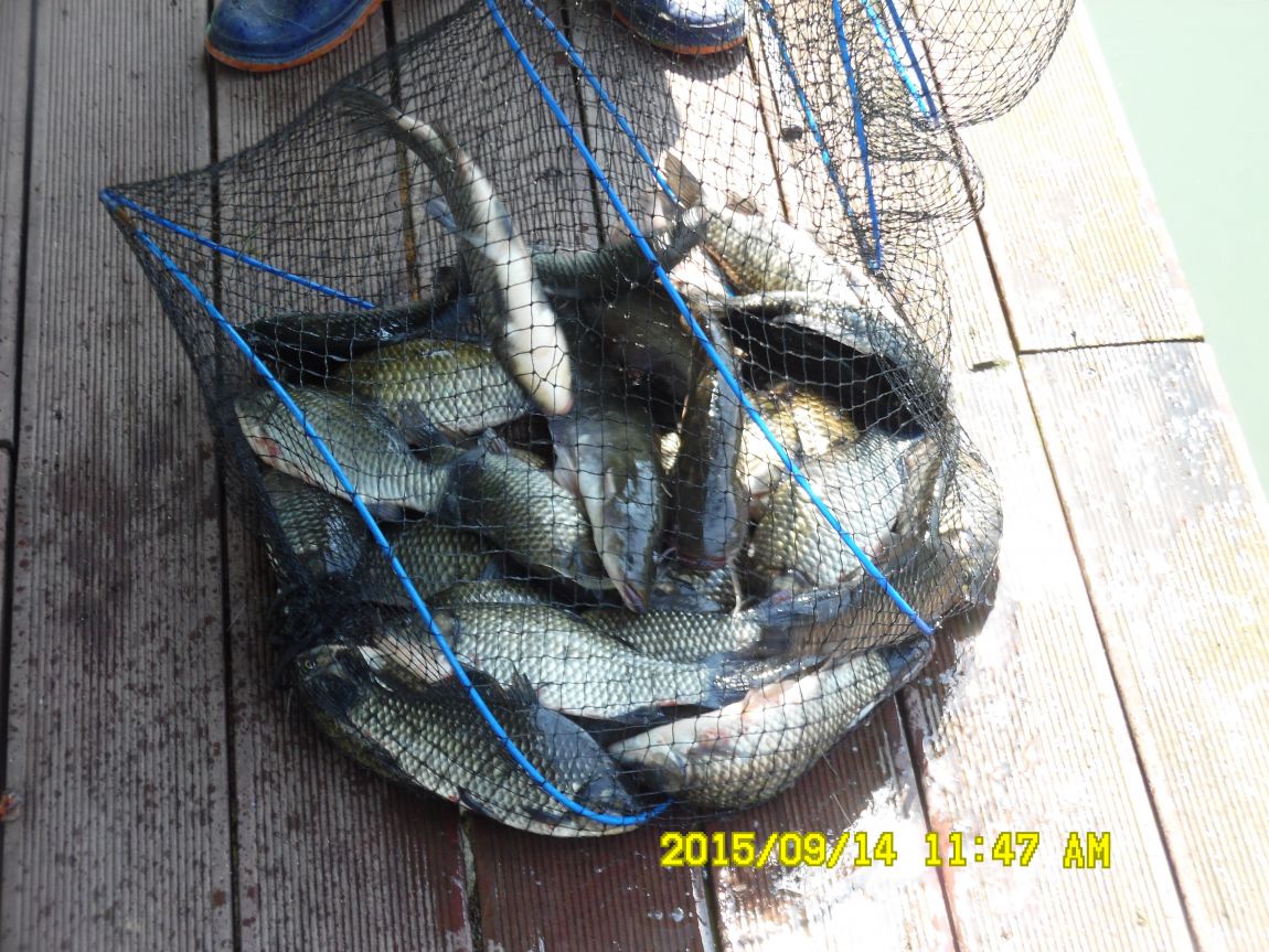 9��13��~15�� 008.JPG