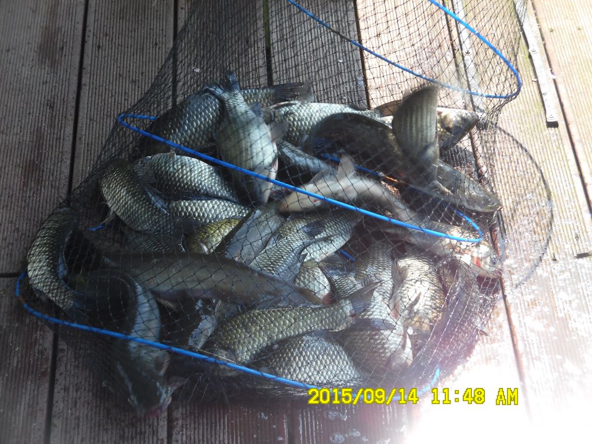 9��13��~15�� 009.JPG