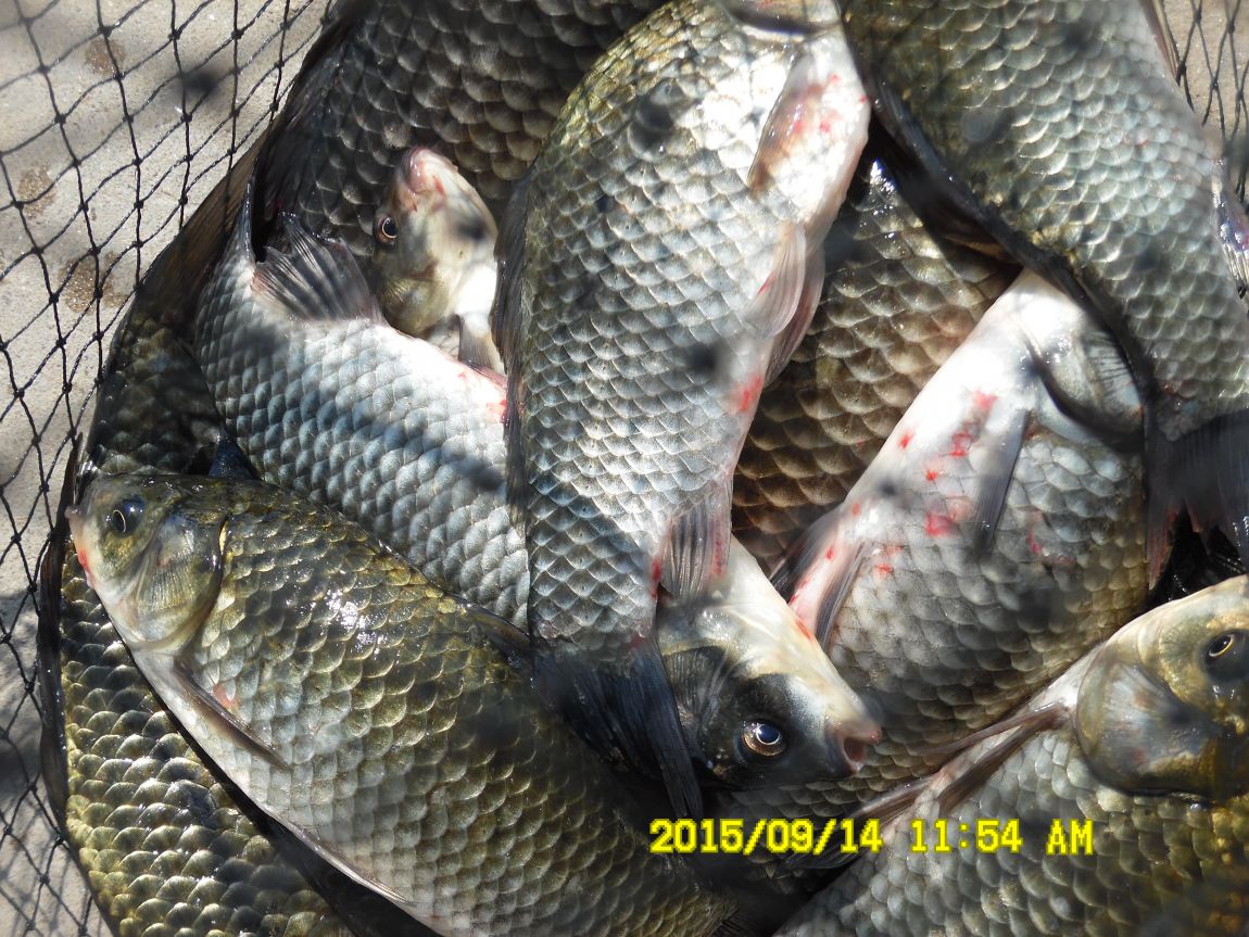 9��13��~15�� 010.JPG