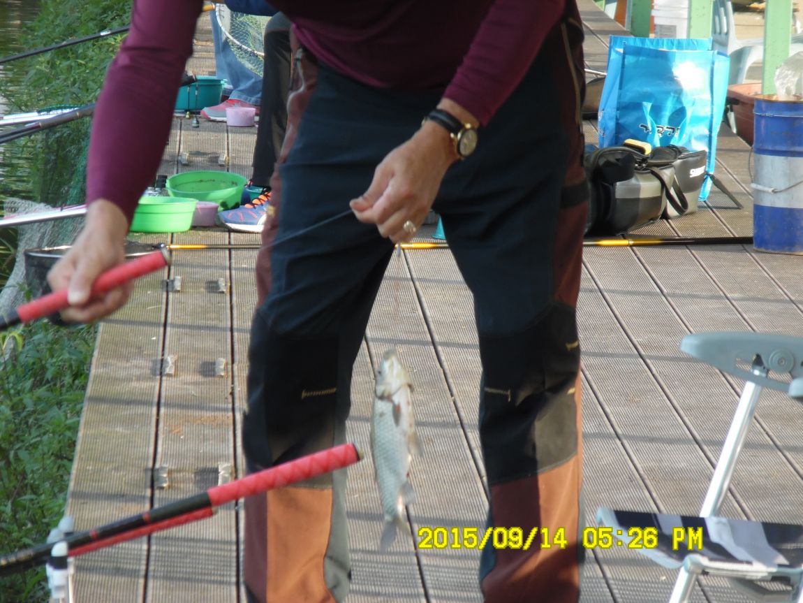 9��13��~15�� 012.JPG