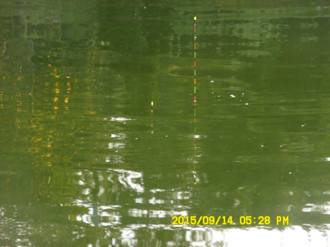 9��13��~15�� 013.JPG