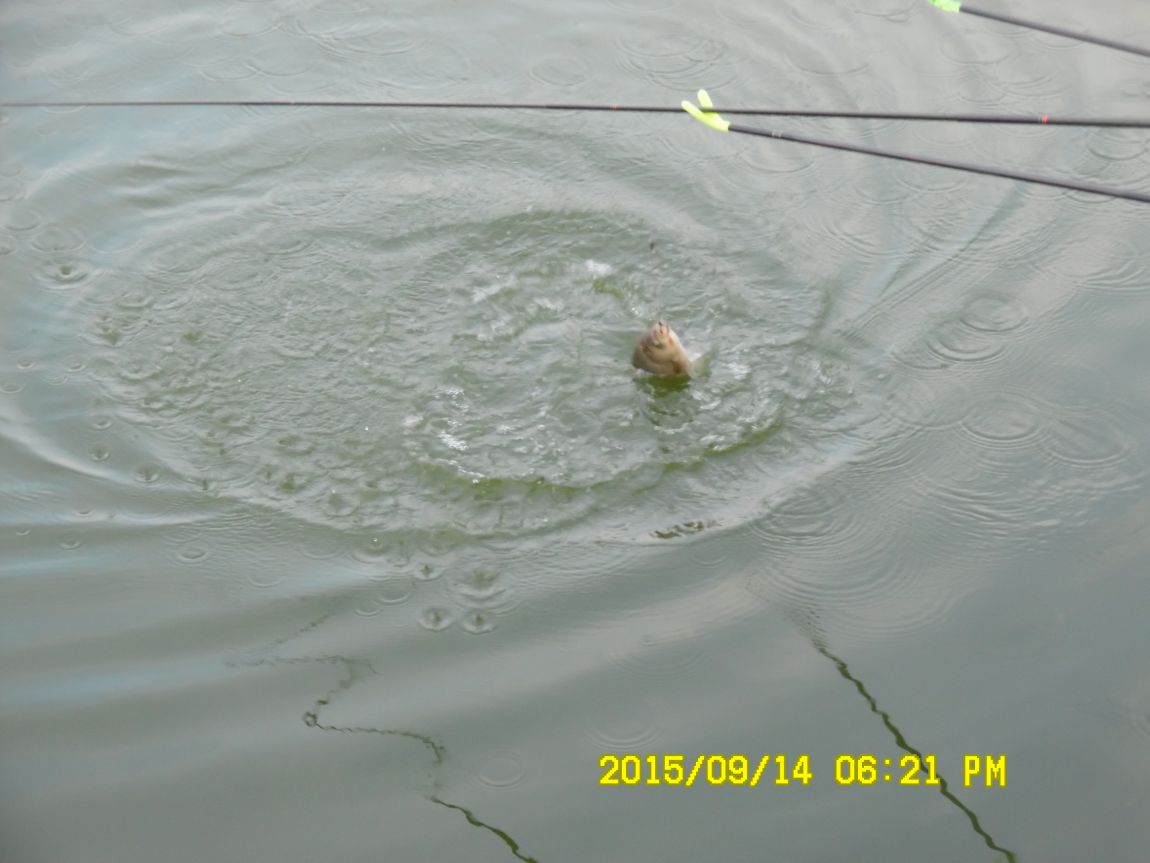 9��13��~15�� 015.JPG