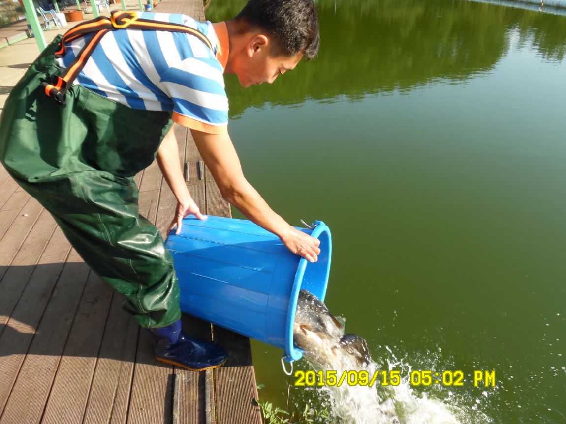 9��13��~15�� 016.JPG