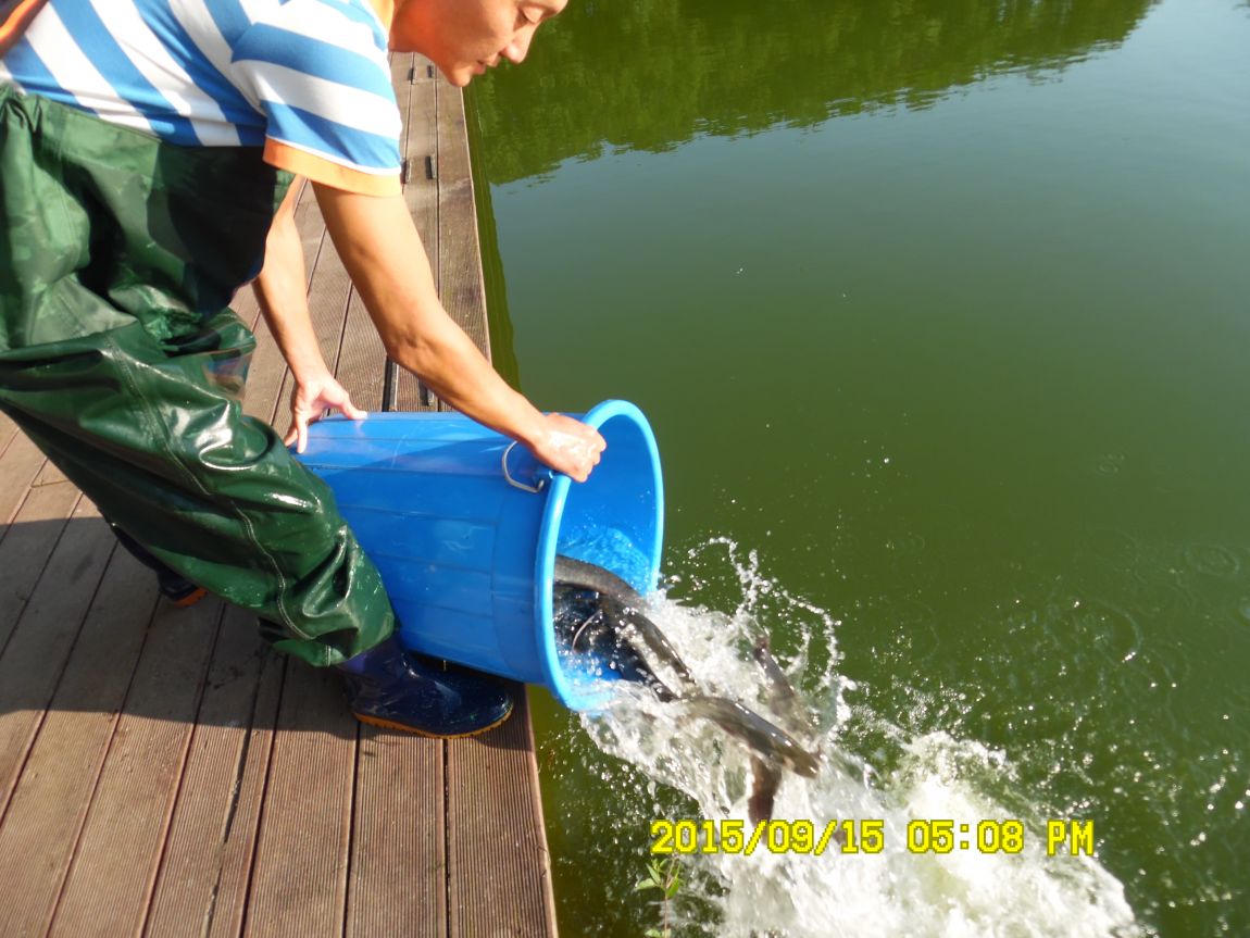 9��13��~15�� 018.JPG