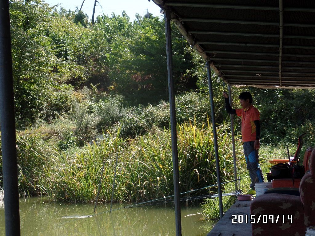 SAM_0437.JPG