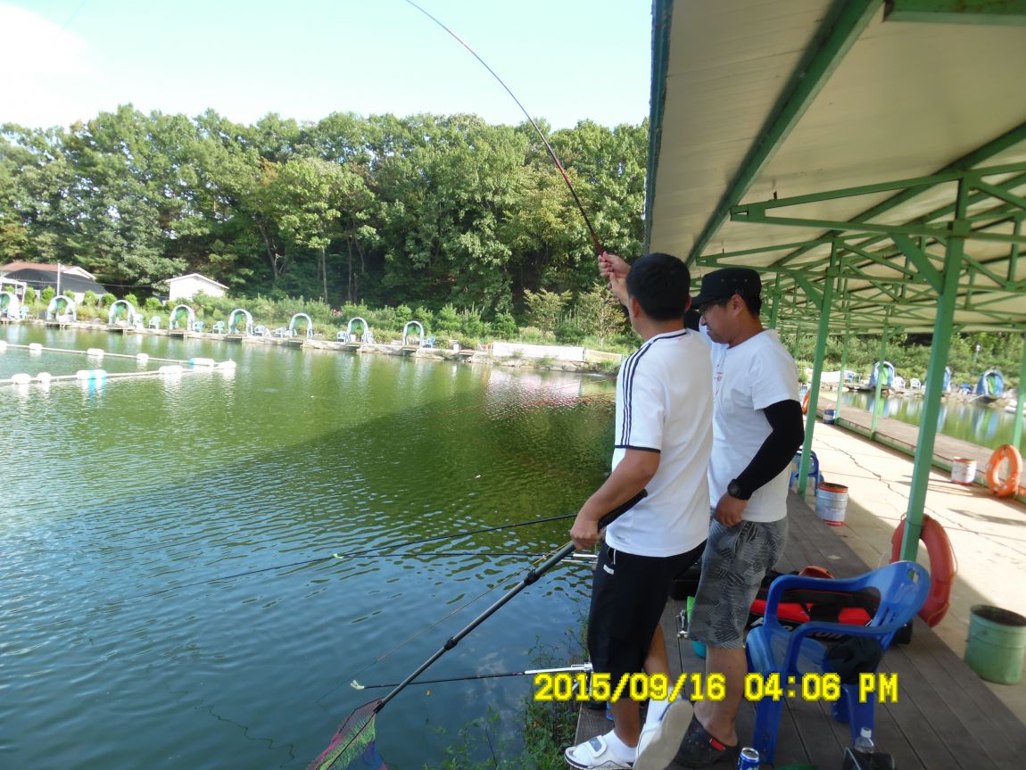 915~16 007.JPG