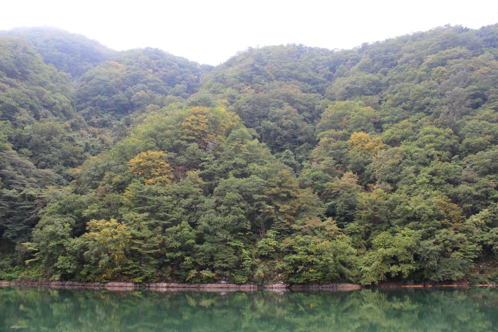 �ٹ̱�_IMG_5940.JPG