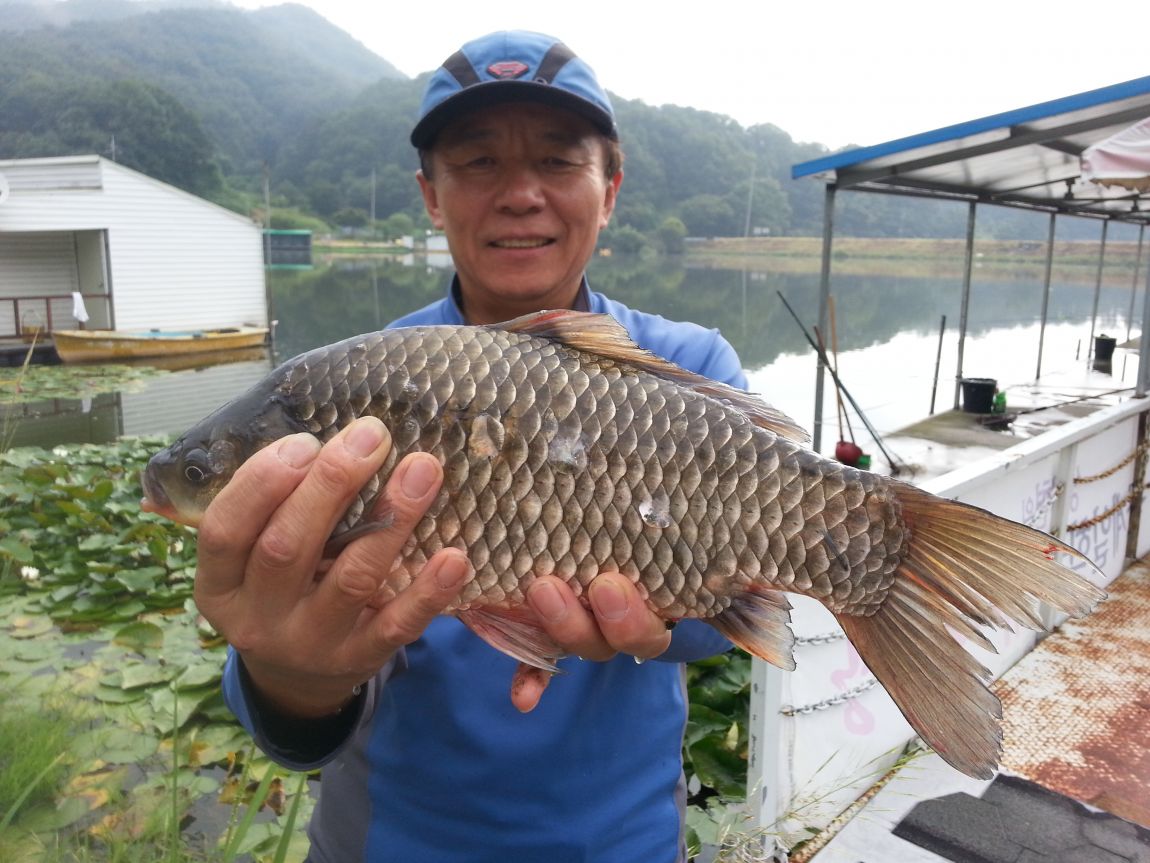 20150912_085355.jpg