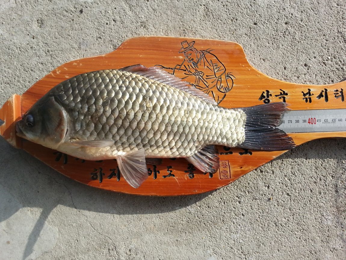 20150913_075936.jpg