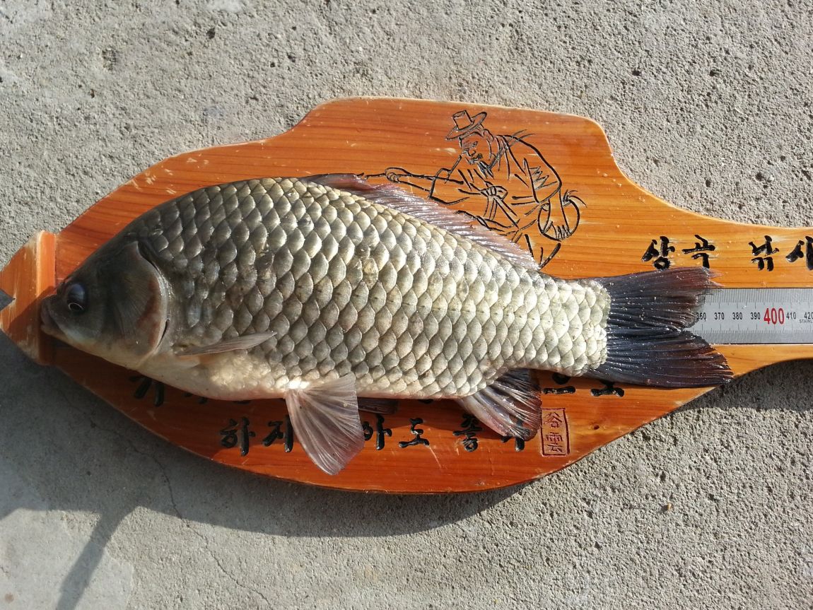 20150913_075940.jpg