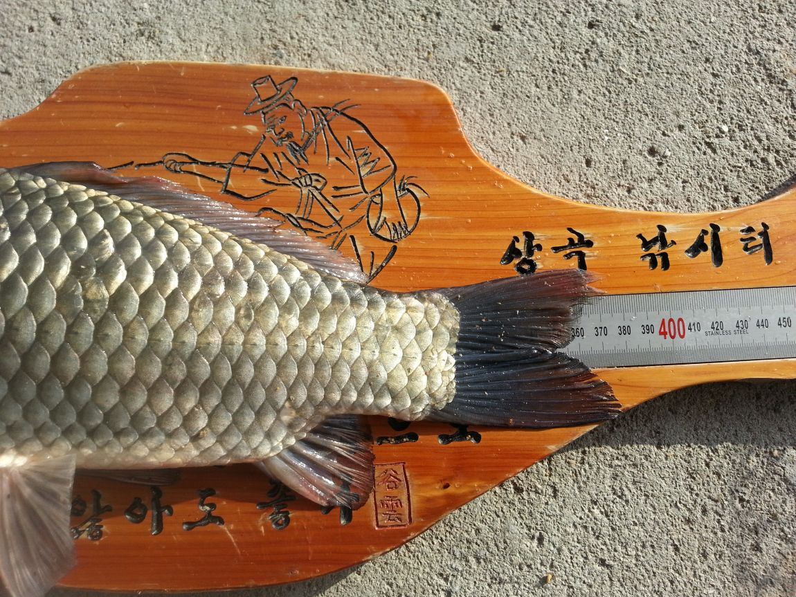 20150913_075943.jpg