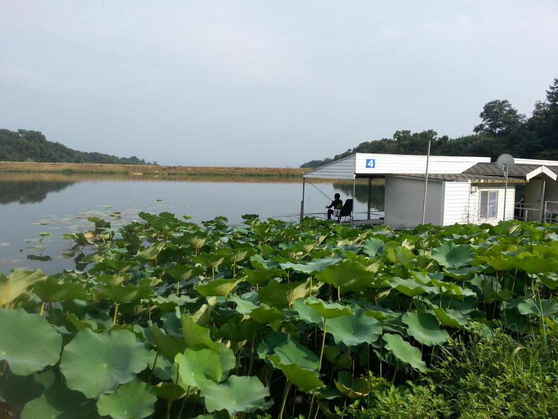 20150912_160725.jpg
