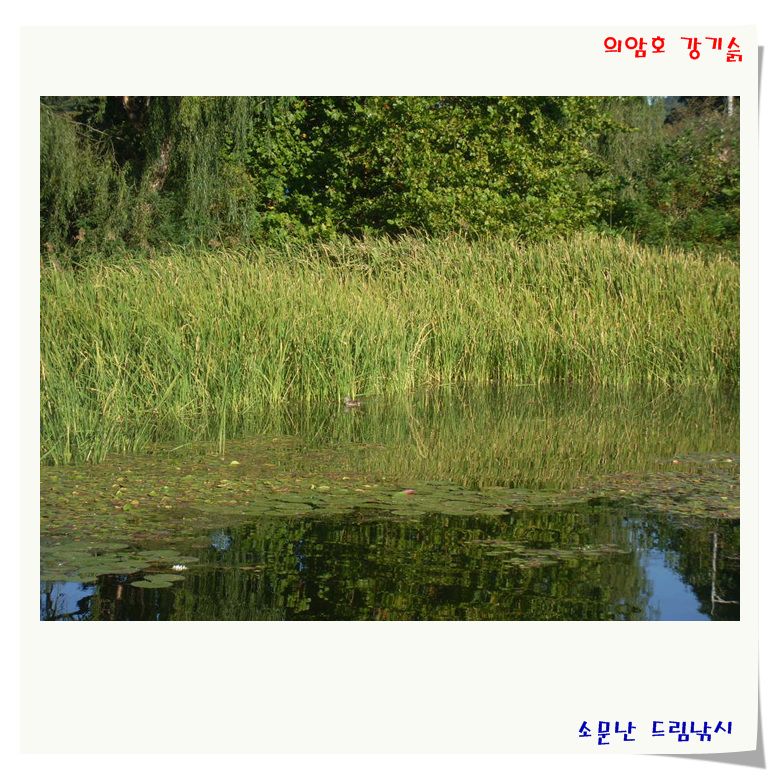 SL380796.jpg