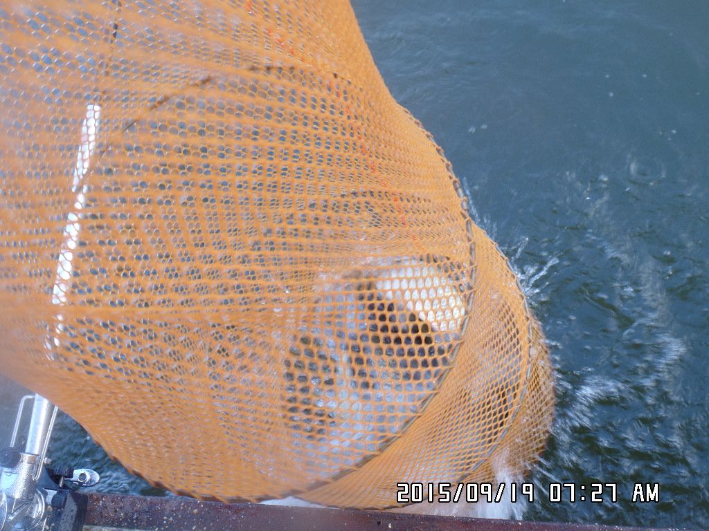 SAM_9248.JPG
