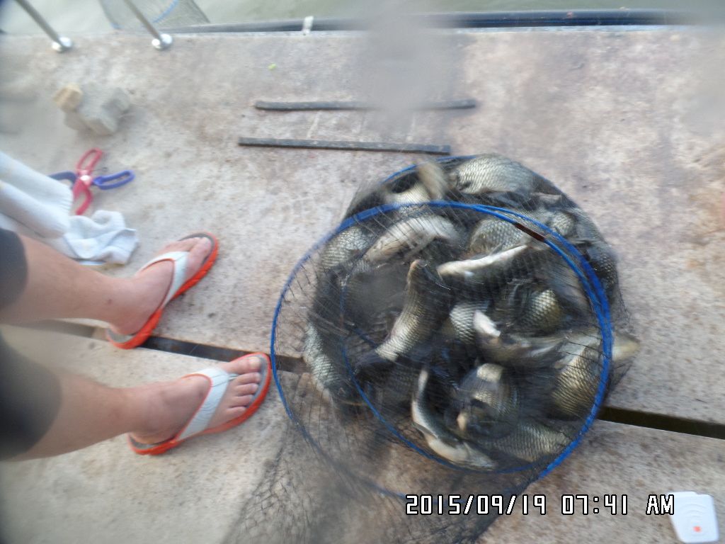 SAM_9253.JPG