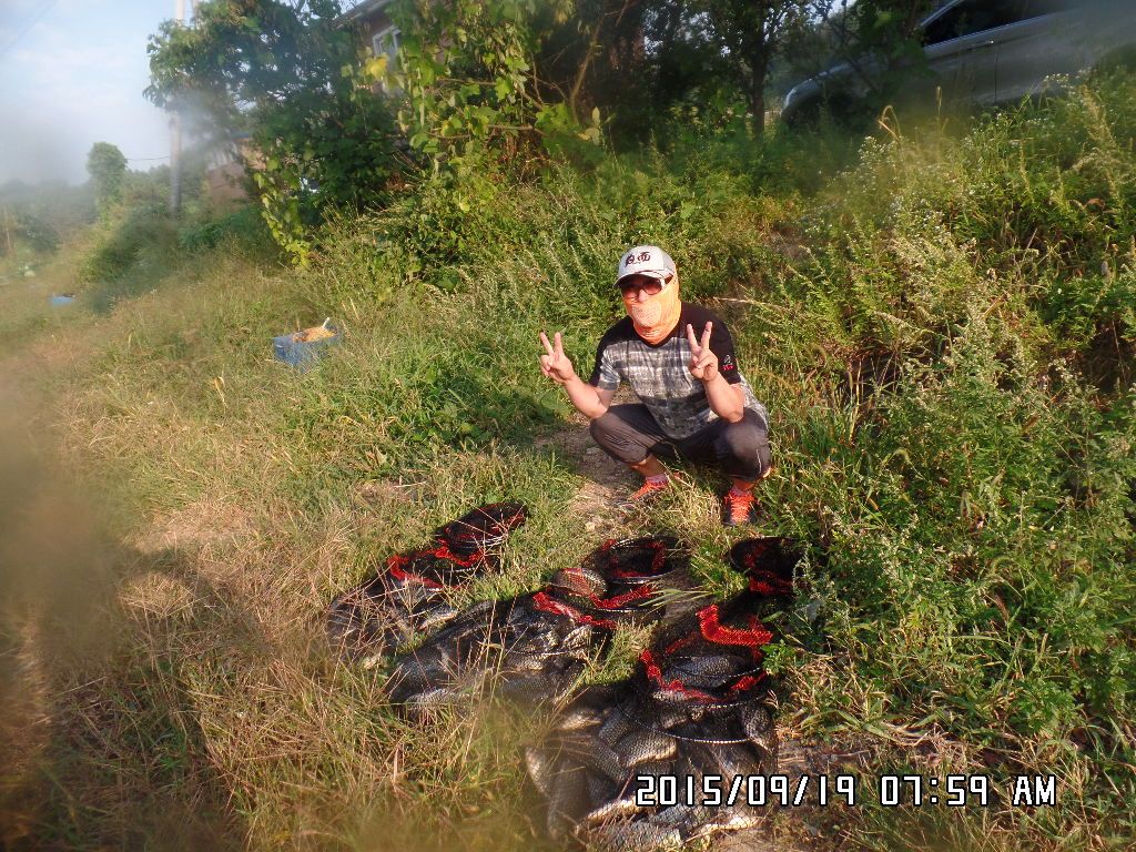 SAM_9290.JPG