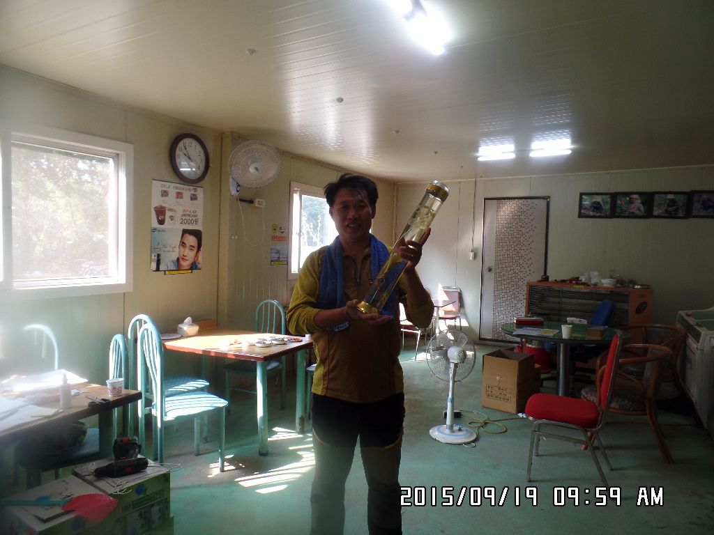 SAM_9295.JPG