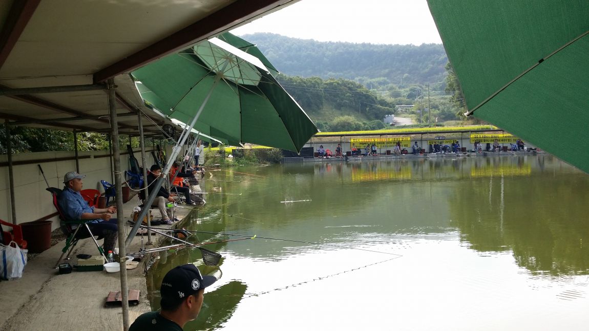 20150920_150141.jpg